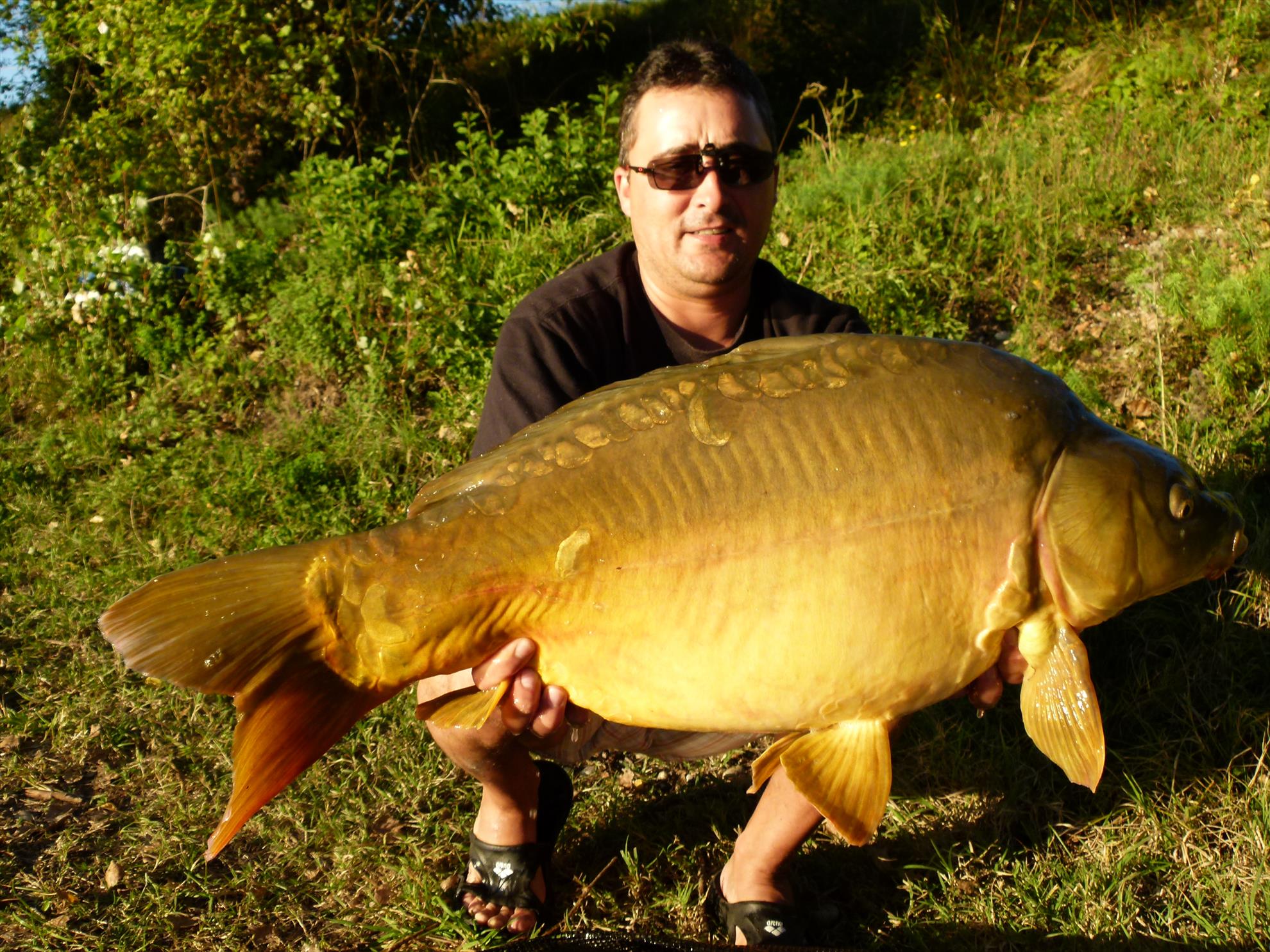regiune Rhône-Alpes 24 - 24 sep. - p1030967.JPG